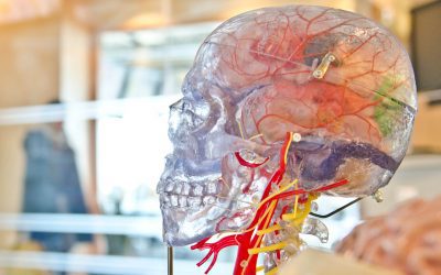 What is Neurology?